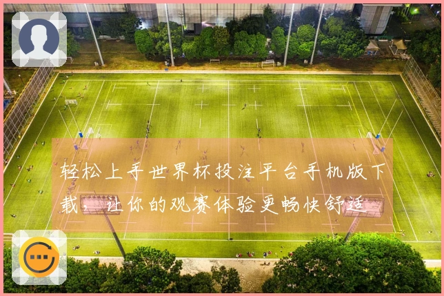 轻松上手世界杯投注平台手机版下载,让你的观赛体验更畅快舒适