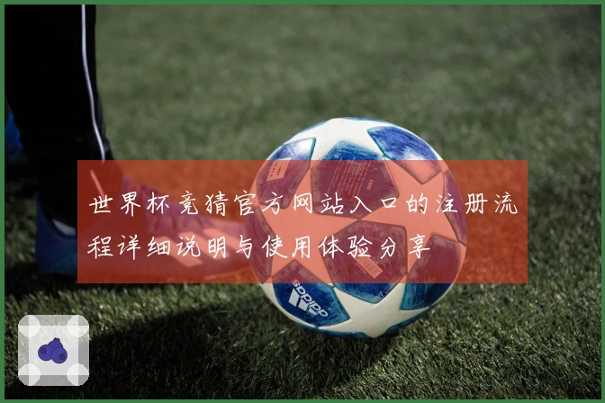 世界杯竞猜官方网站入口的注册流程详细说明与使用体验分享