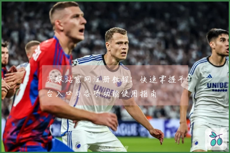 买球站官网注册教程：快速掌握平台入口与各项功能使用指南