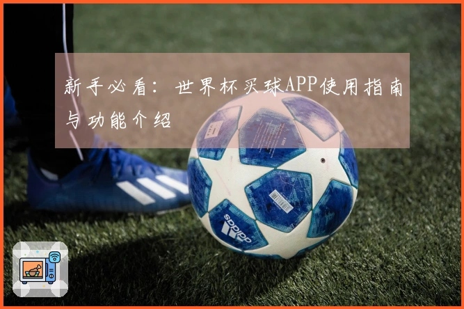 新手必看：世界杯买球APP使用指南与功能介绍
