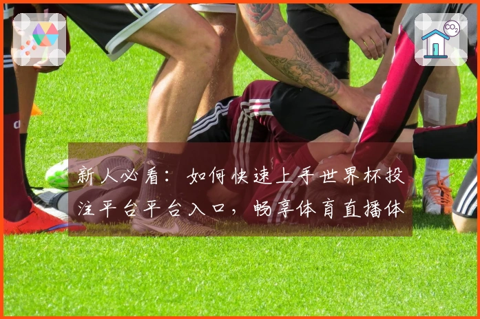 新人必看：如何快速上手世界杯投注平台平台入口，畅享体育直播体验