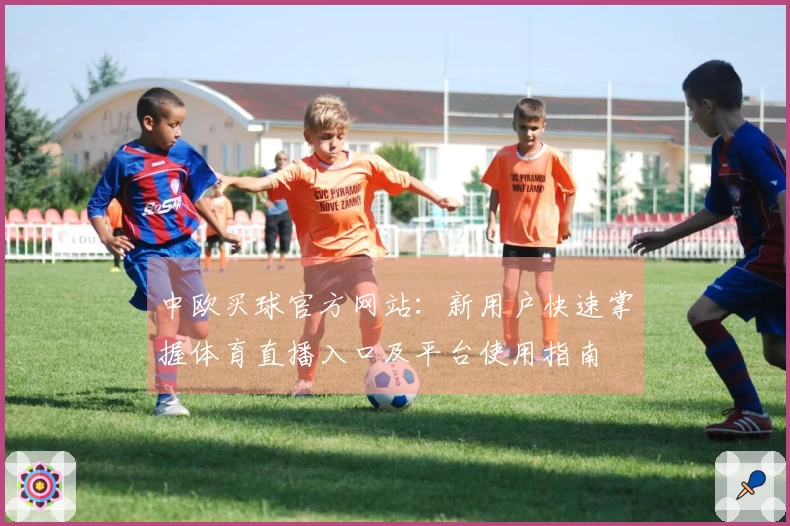 中欧买球官方网站：新用户快速掌握体育直播入口及平台使用指南