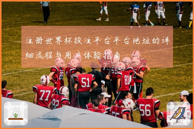 注册世界杯投注平台平台地址的详细流程与用户体验指南