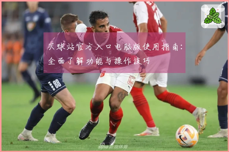 买球站官方入口电脑版使用指南：全面了解功能与操作技巧