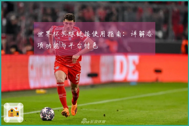 世界杯买球链接使用指南：详解各项功能与平台特色