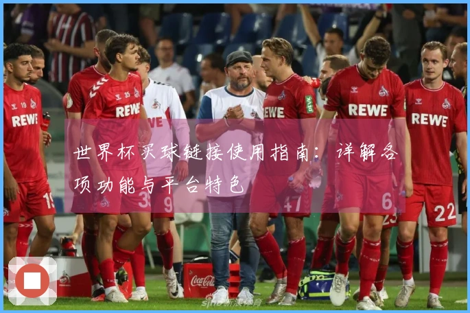 世界杯买球链接使用指南：详解各项功能与平台特色
