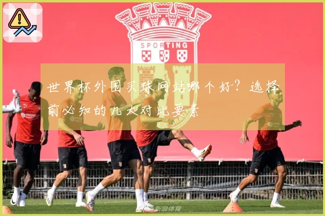 世界杯外围买球网站哪个好？选择前必知的几大对比要素