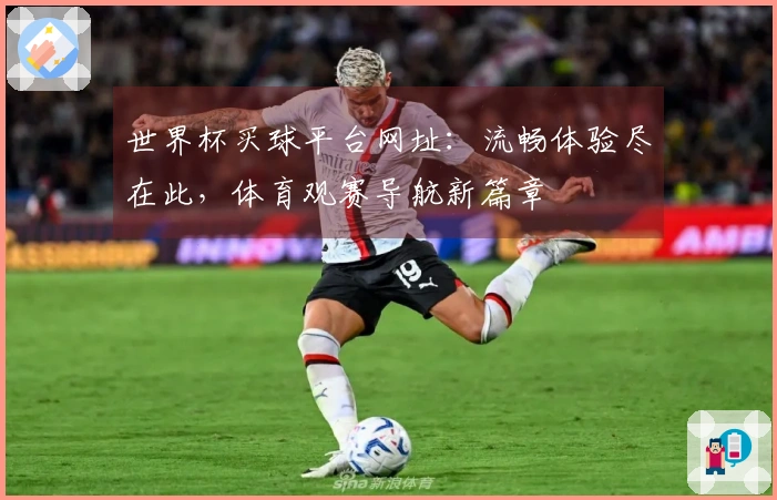 世界杯买球平台网址：流畅体验尽在此，体育观赛导航新篇章